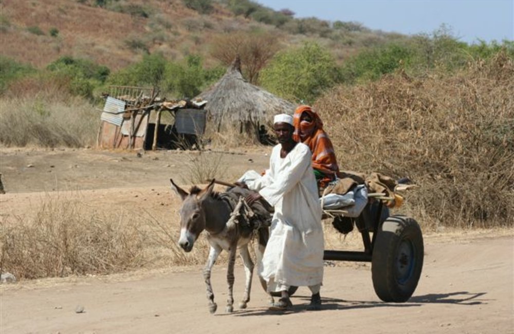Passing traffic near the Maileba team site, Eritrea 28 November 2008 (Photo: Ian Steele)